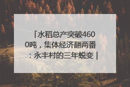 水稻总产突破4600吨，集体经济翻两番：永丰村的三年蜕变｜您牵挂的四川