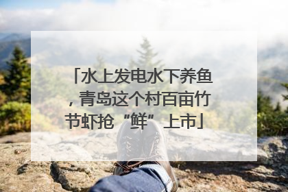 水上发电水下养鱼，青岛这个村百亩竹节虾抢“鲜”上市
