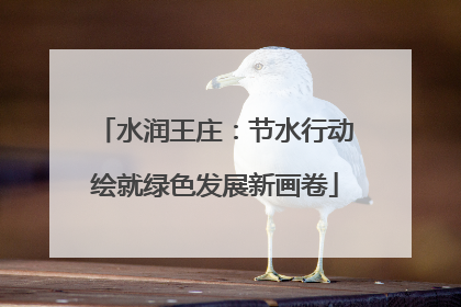 水润王庄：节水行动绘就绿色发展新画卷