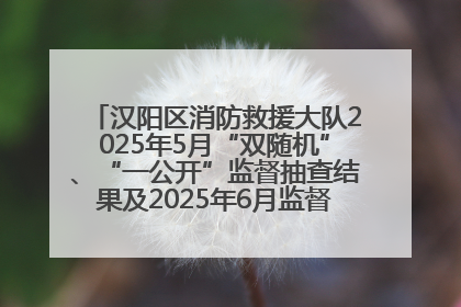 汉阳区消防救援大队2025年5月“双随机”、“一公开”监督抽查结果及2025年6月监督抽查任务公示