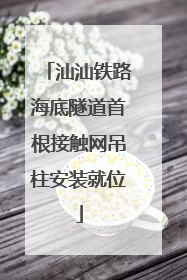 汕汕铁路海底隧道首根接触网吊柱安装就位