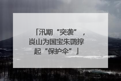 汛期“突袭”，崀山为国宝朱鹮撑起“保护伞”