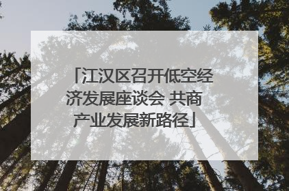 江汉区召开低空经济发展座谈会 共商产业发展新路径