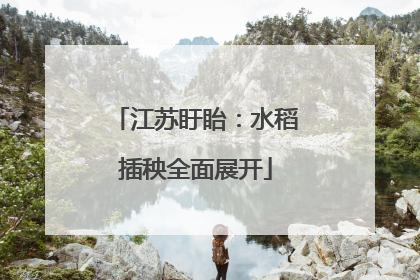 江苏盱眙：水稻插秧全面展开