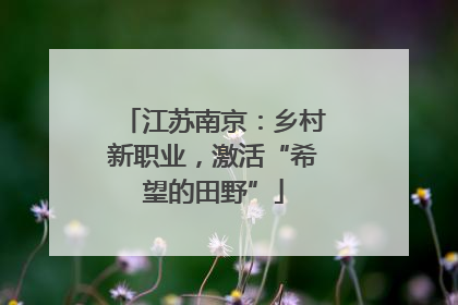 江苏南京：乡村新职业，激活“希望的田野”