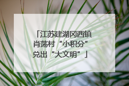 江苏建湖冈西镇肖荡村“小积分”兑出“大文明”