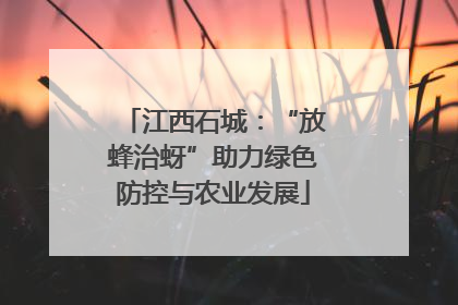 江西石城：“放蜂治蚜”助力绿色防控与农业发展
