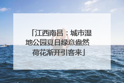 江西南昌：城市湿地公园夏日绿意盎然 荷花渐开引客来
