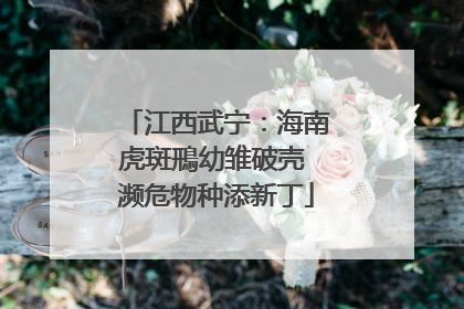 江西武宁：海南虎斑鳽幼雏破壳 濒危物种添新丁