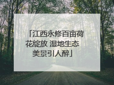 江西永修百亩荷花绽放 湿地生态美景引人醉