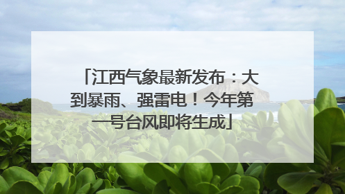 江西气象最新发布：大到暴雨、强雷电！今年第一号台风即将生成