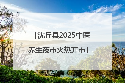 沈丘县2025中医养生夜市火热开市