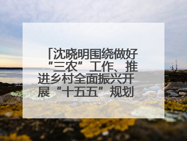 沈晓明围绕做好“三农”工作、推进乡村全面振兴开展“十五五”规划专题调研