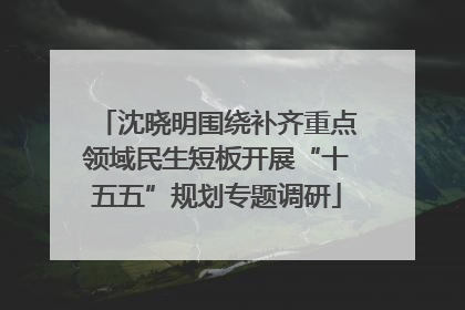 沈晓明围绕补齐重点领域民生短板开展“十五五”规划专题调研