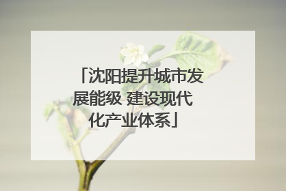 沈阳提升城市发展能级 建设现代化产业体系