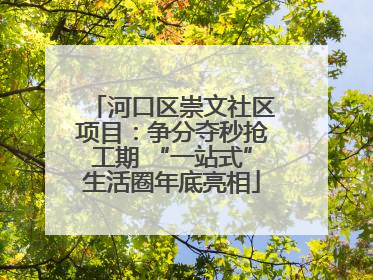 河口区崇文社区项目：争分夺秒抢工期 “一站式”生活圈年底亮相