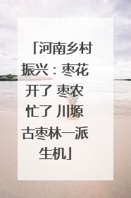 河南乡村振兴：枣花开了 枣农忙了 川塬古枣林一派生机