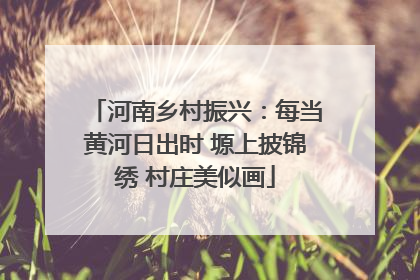 河南乡村振兴：每当黄河日出时 塬上披锦绣 村庄美似画