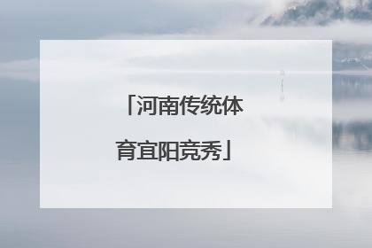 河南传统体育宜阳竞秀