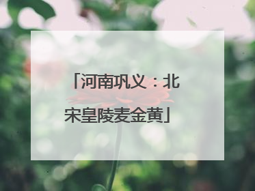 河南巩义：北宋皇陵麦金黄