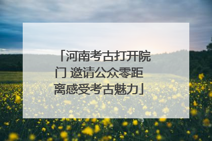 河南考古打开院门 邀请公众零距离感受考古魅力