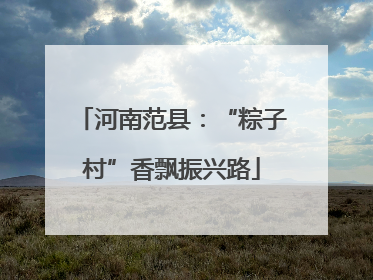 河南范县：“粽子村”香飘振兴路