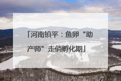 河南镇平：鱼卵“助产师”走俏孵化期