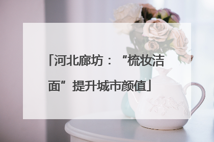 河北廊坊：“梳妆洁面”提升城市颜值