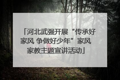 河北武强开展“传承好家风 争做好少年”家风家教主题宣讲活动
