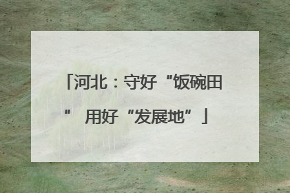 河北：守好“饭碗田” 用好“发展地”