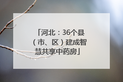 河北：36个县（市、区）建成智慧共享中药房