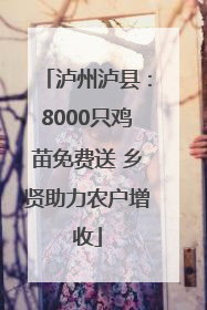 泸州泸县：8000只鸡苗免费送 乡贤助力农户增收