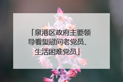 泉港区政府主要领导看望慰问老党员、生活困难党员
