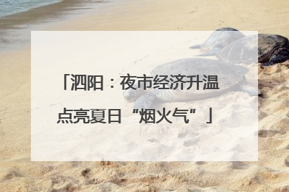 泗阳：夜市经济升温 点亮夏日“烟火气”