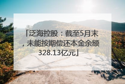 泛海控股：截至5月末，未能按期偿还本金余额328.13亿元