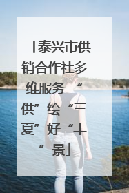 泰兴市供销合作社多维服务 “供”绘“三夏”好“丰”景