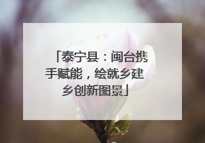 泰宁县：闽台携手赋能，绘就乡建乡创新图景