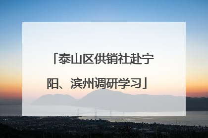 泰山区供销社赴宁阳、滨州调研学习