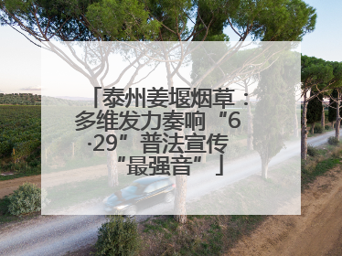 泰州姜堰烟草：多维发力奏响“6·29”普法宣传“最强音”