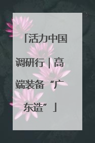 活力中国调研行｜高端装备“广东造”