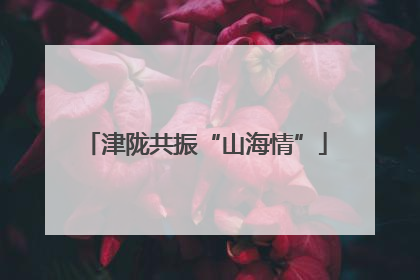 津陇共振“山海情”