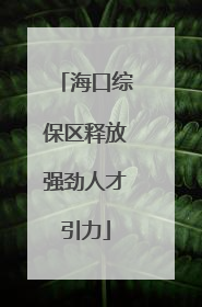 海口综保区释放强劲人才引力