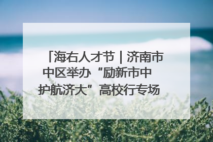 海右人才节｜济南市中区举办“励新市中 护航济大”高校行专场活动暨“青年人才 乐享市中”品牌推介会