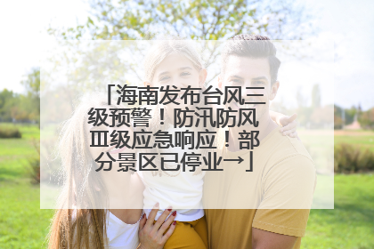 海南发布台风三级预警！防汛防风Ⅲ级应急响应！部分景区已停业→