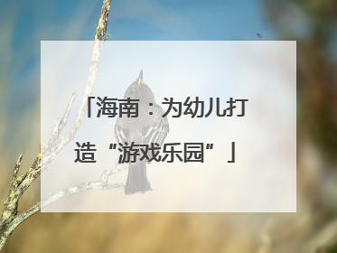 海南：为幼儿打造“游戏乐园”
