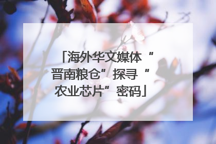 海外华文媒体“晋南粮仓”探寻“农业芯片”密码
