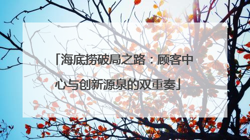 海底捞破局之路：顾客中心与创新源泉的双重奏