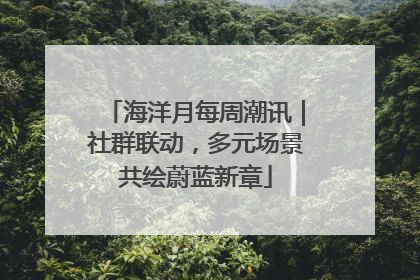 海洋月每周潮讯｜社群联动，多元场景共绘蔚蓝新章
