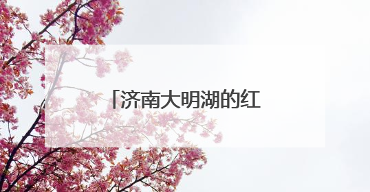 济南大明湖的红尾伯劳登枝高歌