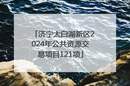 济宁太白湖新区2024年公共资源交易项目121项